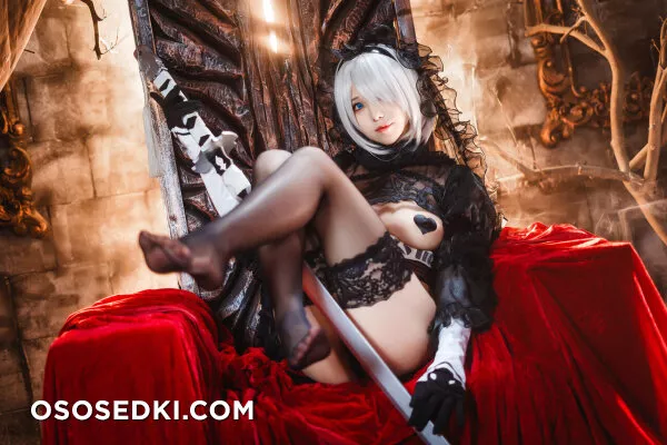 Mizhimaoqiu - 2b - Nier Automata - 68