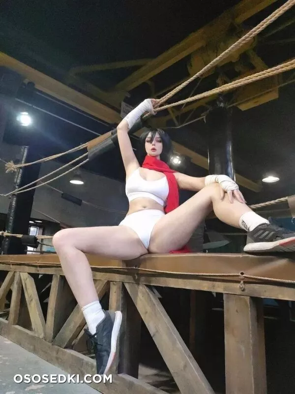 Julia Shuenkova | Asami Gate - Mikasa Ackerman - Shingeki No Kyojin | Attack On Titan - 4