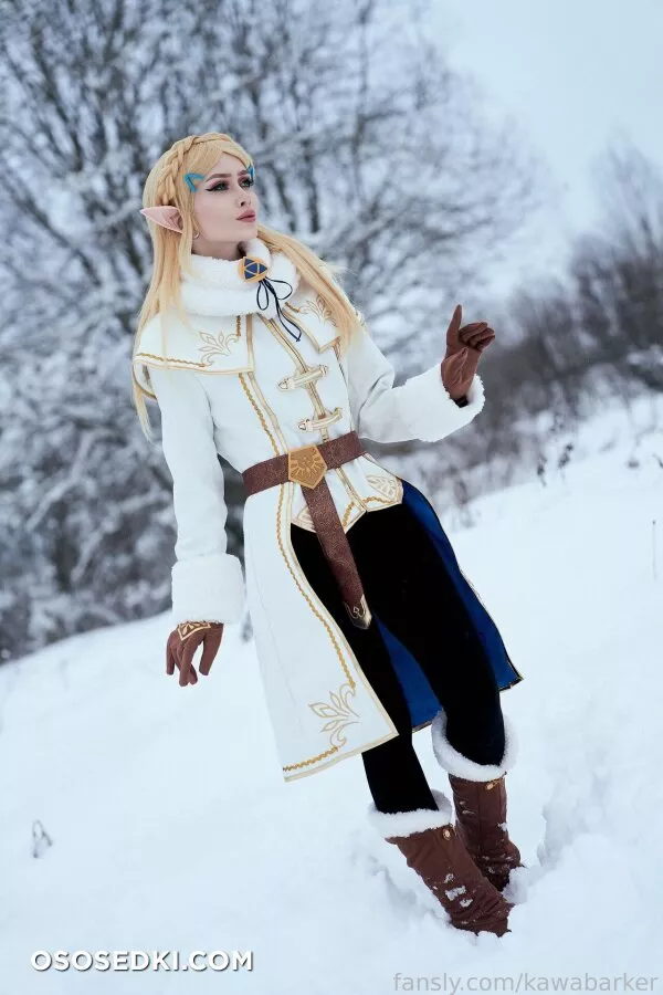Zirael Rem - Princess Zelda - The Legend Of Zelda - 1