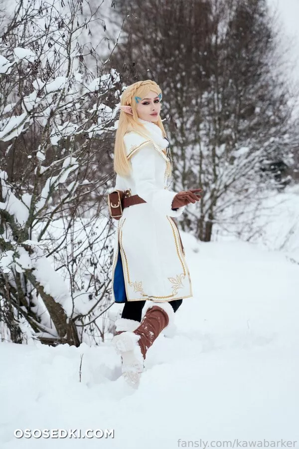Zirael Rem - Princess Zelda - The Legend Of Zelda - 4