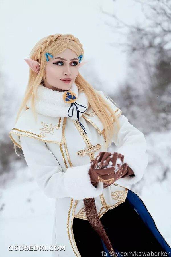 Zirael Rem - Princess Zelda - The Legend Of Zelda - 6