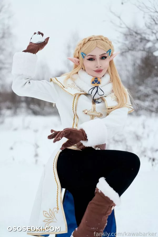 Zirael Rem - Princess Zelda - The Legend Of Zelda - 7