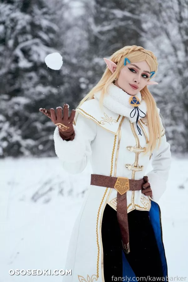 Zirael Rem - Princess Zelda - The Legend Of Zelda - 8