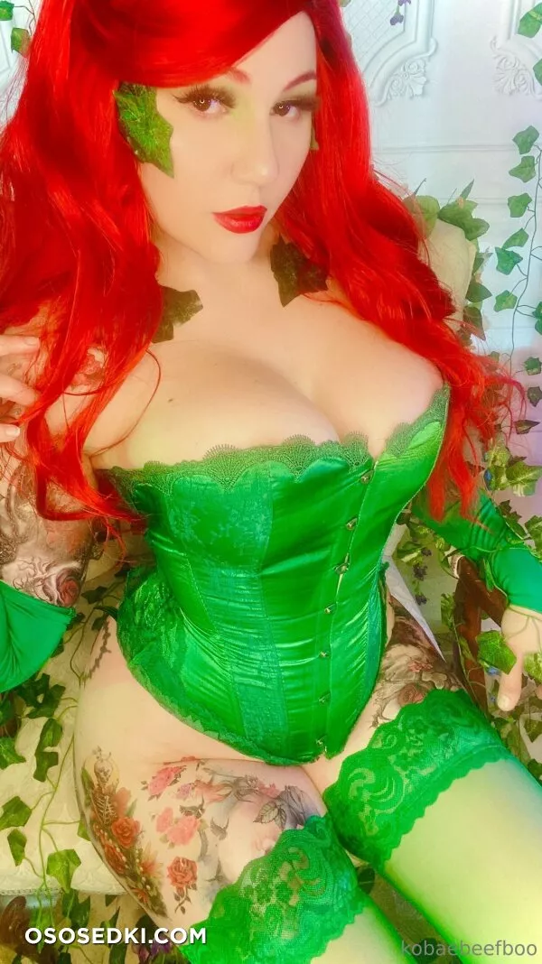 Kobaebeefboo - Poison Ivy - Batman - 2