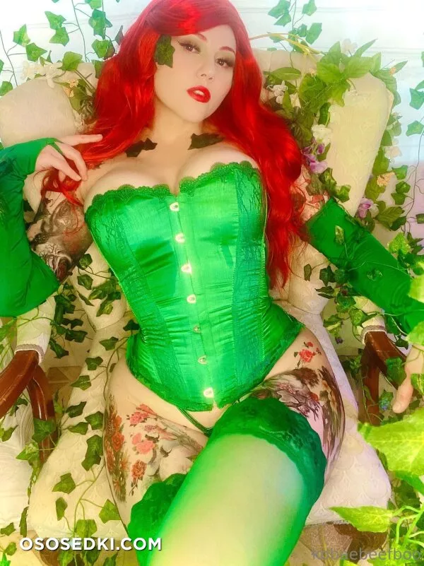 Kobaebeefboo - Poison Ivy - Batman - 3