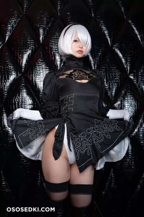 Omimi - 2b - Nier Automata - 43