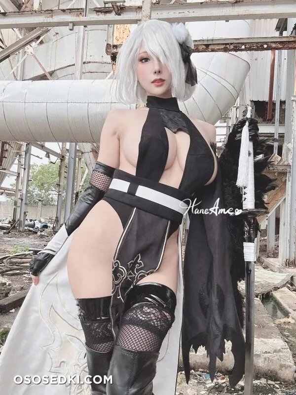 Cosplay 雨波HaneAme YoRHa 2B Set.03 - 29