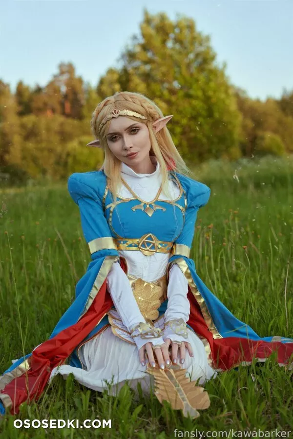 Zirael Rem - Princess Zelda - The Legend Of Zelda - 1