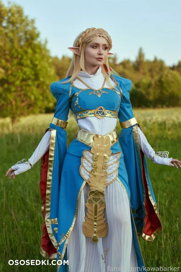 Zirael Rem - Princess Zelda - The Legend Of Zelda - 3
