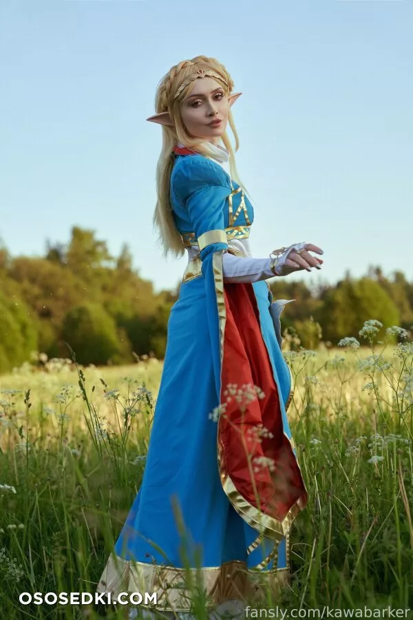 Zirael Rem - Princess Zelda - The Legend Of Zelda - 4