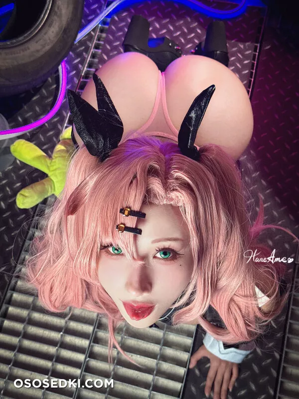 Hane Ame - Nicole Demara - Zenless Zone Zero - 35