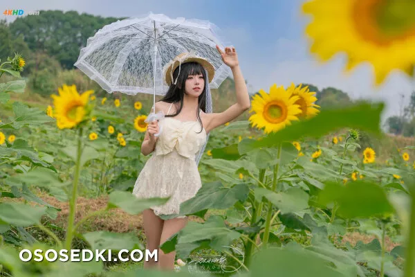 黏黏团子兔 – 夏の葵 - 23