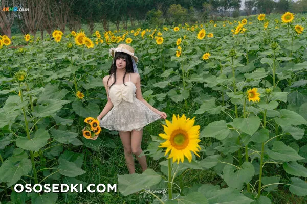 黏黏团子兔 – 夏の葵 - 30