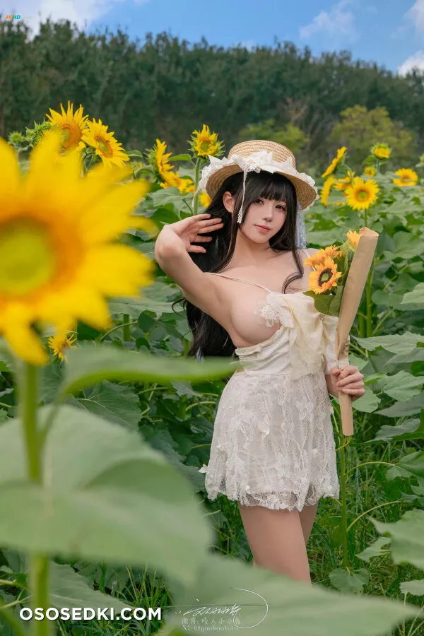 黏黏团子兔 – 夏の葵 - 37