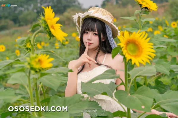 黏黏团子兔 – 夏の葵 - 73