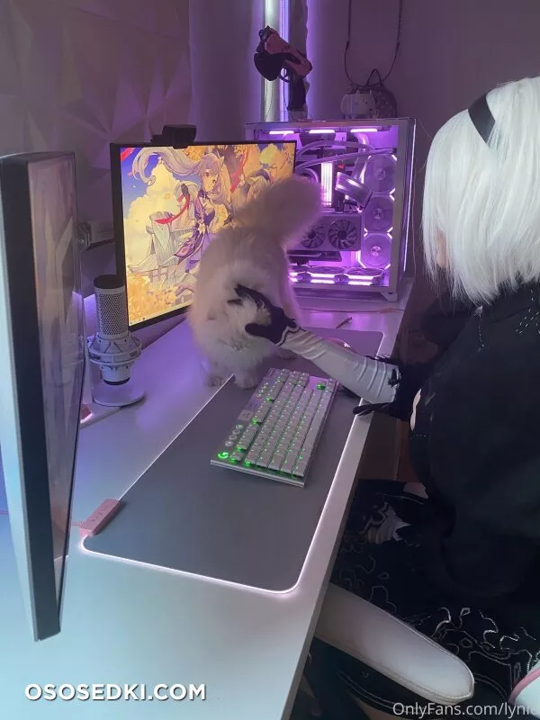 Lynie Nicole - 2b - Nier Automata - 9