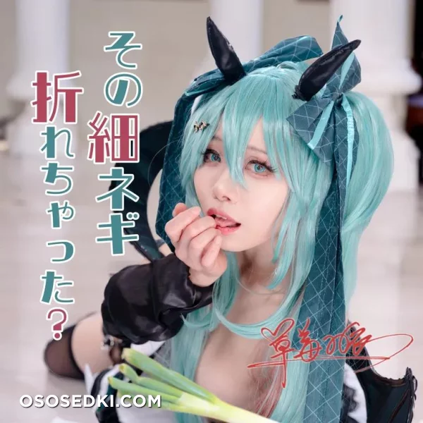 Caomeiyuyi - Miku Hatsune - Vocaloid - 1
