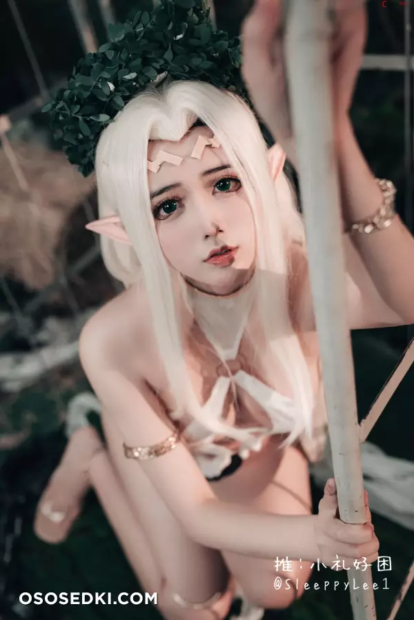 SleeppyLee1 (小礼好困) cosplay Celestine Lucullus – Kuroinu - 7