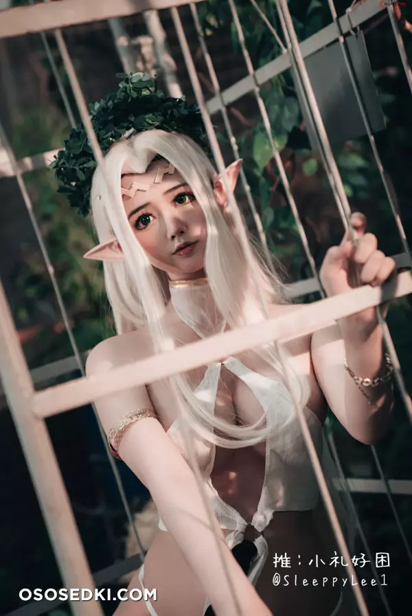 SleeppyLee1 (小礼好困) cosplay Celestine Lucullus – Kuroinu - 9