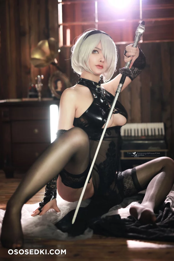 Rissoft - 2b - Nier Automata - 37