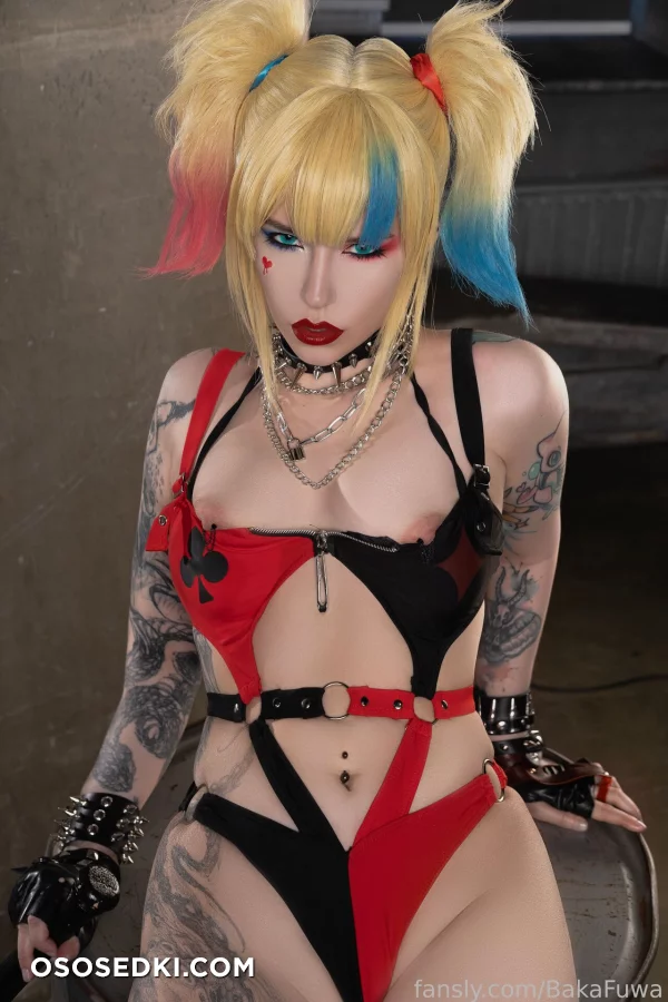 Fuwa Baka - Harley Quinn - Batman - 14