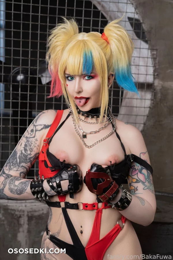 Fuwa Baka - Harley Quinn - Batman - 19