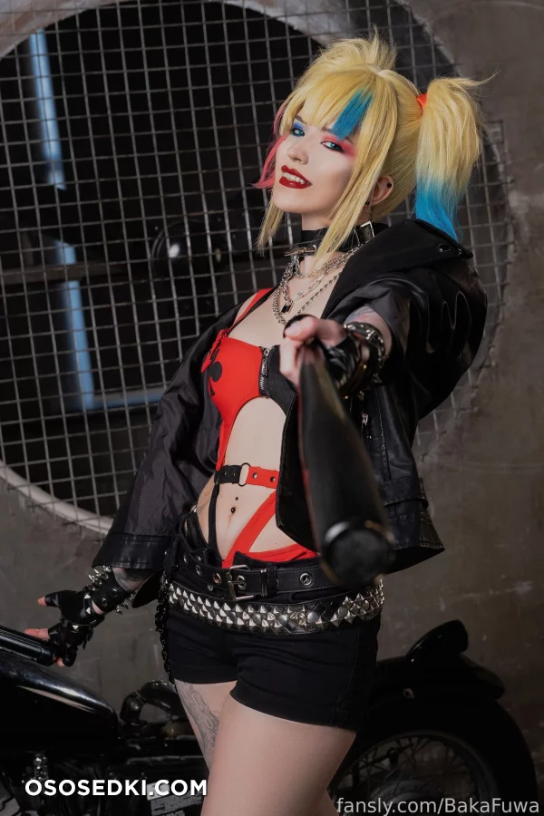 Fuwa Baka - Harley Quinn - Batman - 4