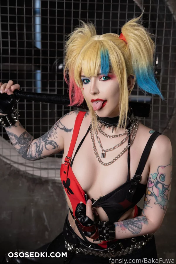 Fuwa Baka - Harley Quinn - Batman - 6