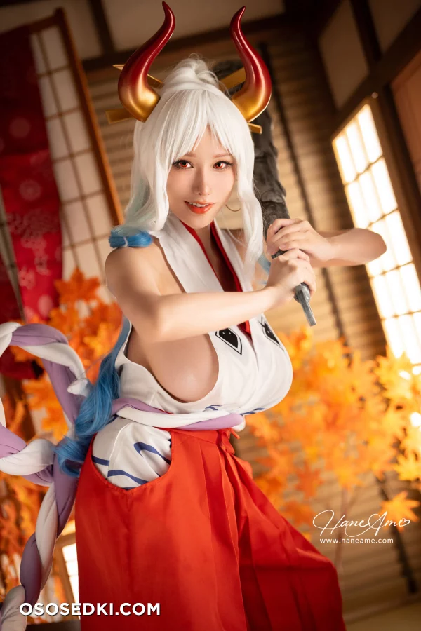 Hane Ame - Yamato - One Piece - 10