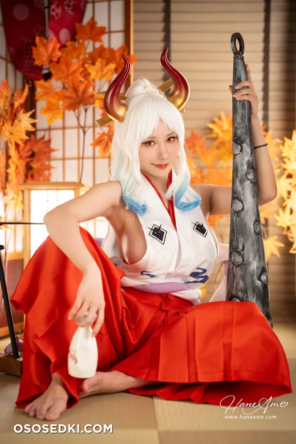 Hane Ame - Yamato - One Piece - 2
