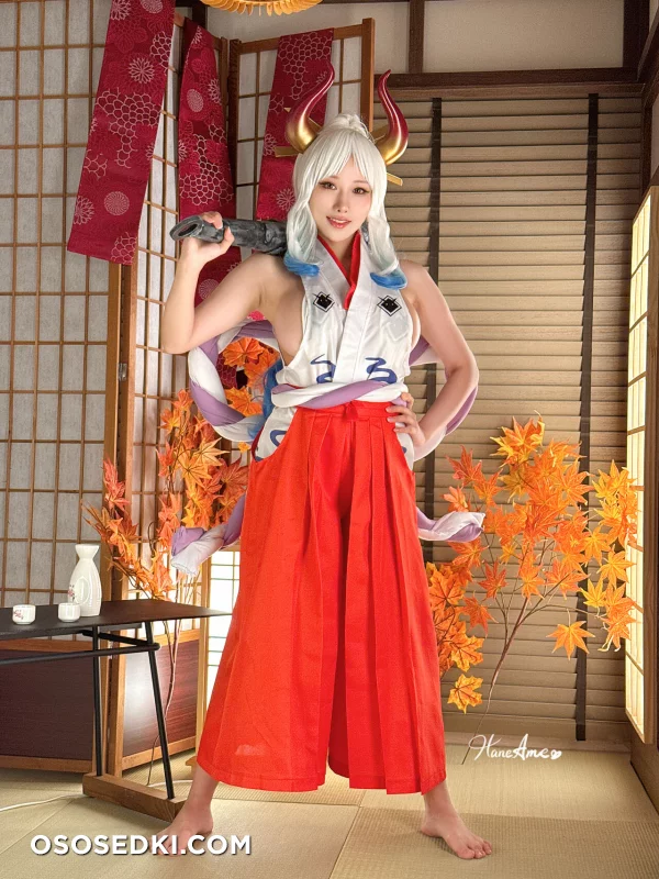 Hane Ame - Yamato - One Piece - 30