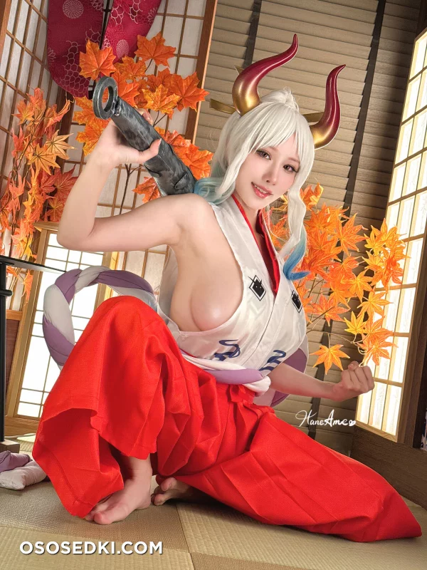 Hane Ame - Yamato - One Piece - 31