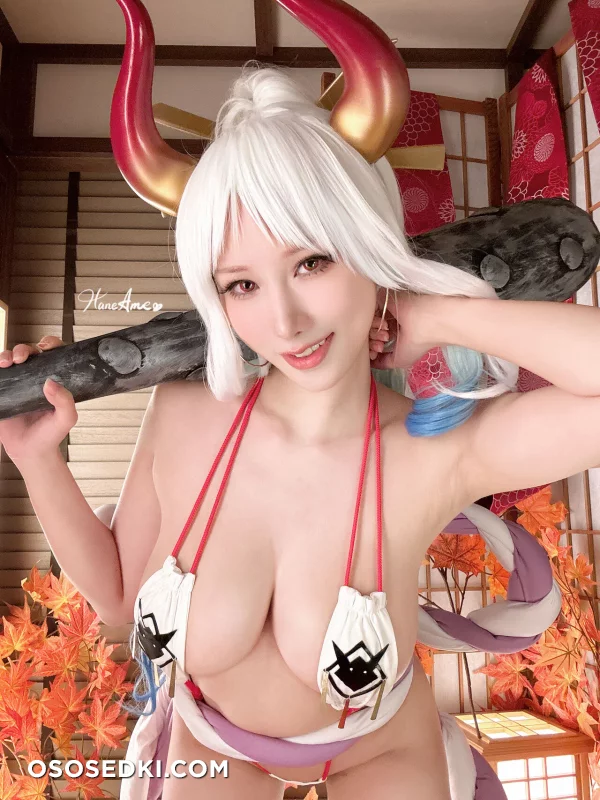 Hane Ame - Yamato - One Piece - 38
