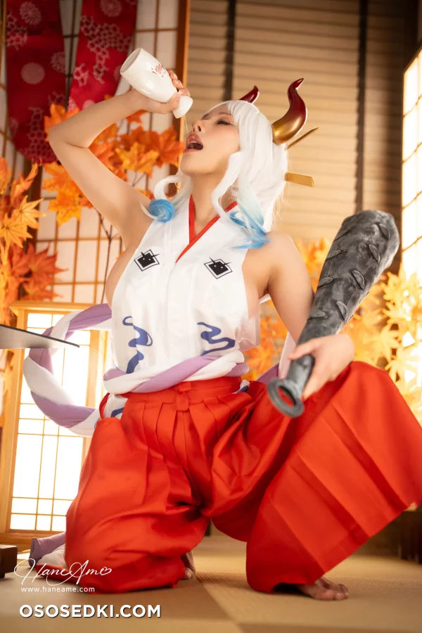 Hane Ame - Yamato - One Piece - 4