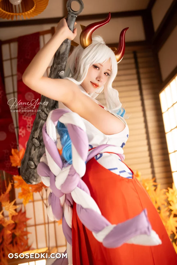 Hane Ame - Yamato - One Piece - 5