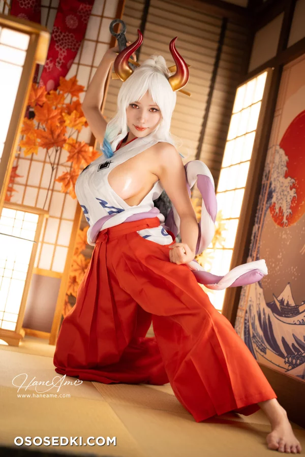 Hane Ame - Yamato - One Piece - 6