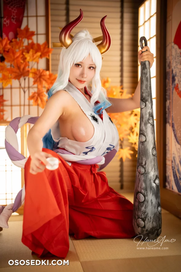Hane Ame - Yamato - One Piece - 7