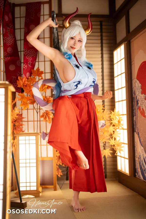 Hane Ame - Yamato - One Piece - 8