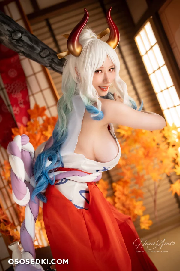 Hane Ame - Yamato - One Piece - 9