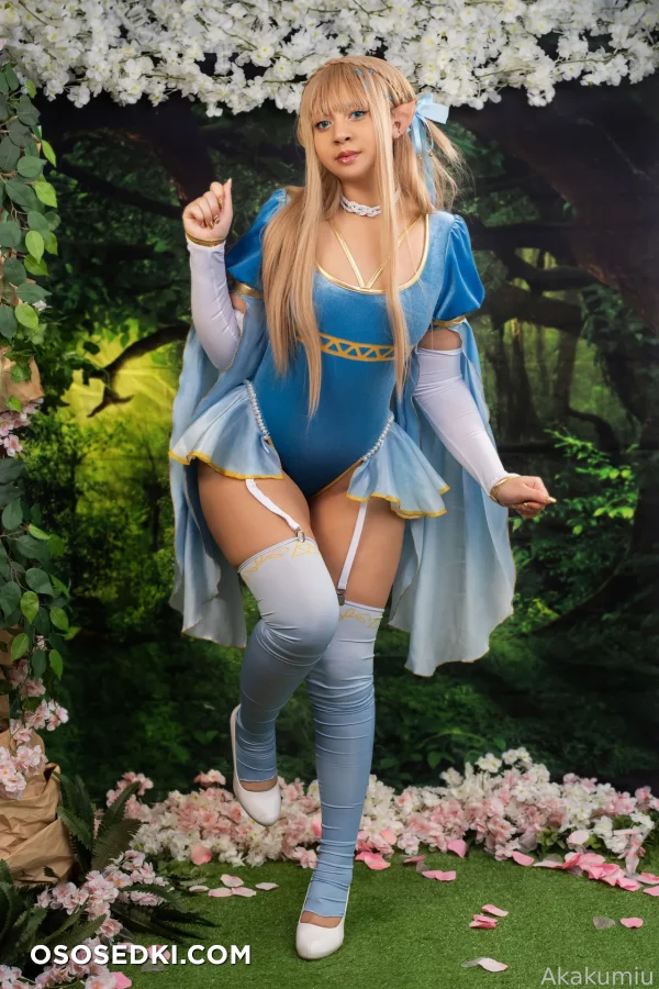 Akakumiu - Princess Zelda - The Legend Of Zelda - 1