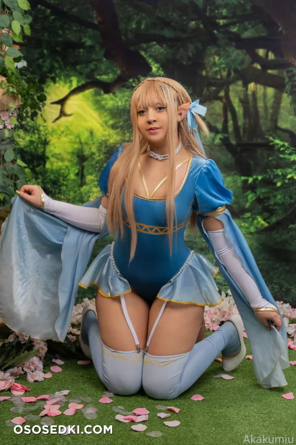 Akakumiu - Princess Zelda - The Legend Of Zelda - 7
