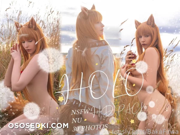 Baka Fuwa - Holo - Spice And Wolf | Ookami To Koushinryou - 1