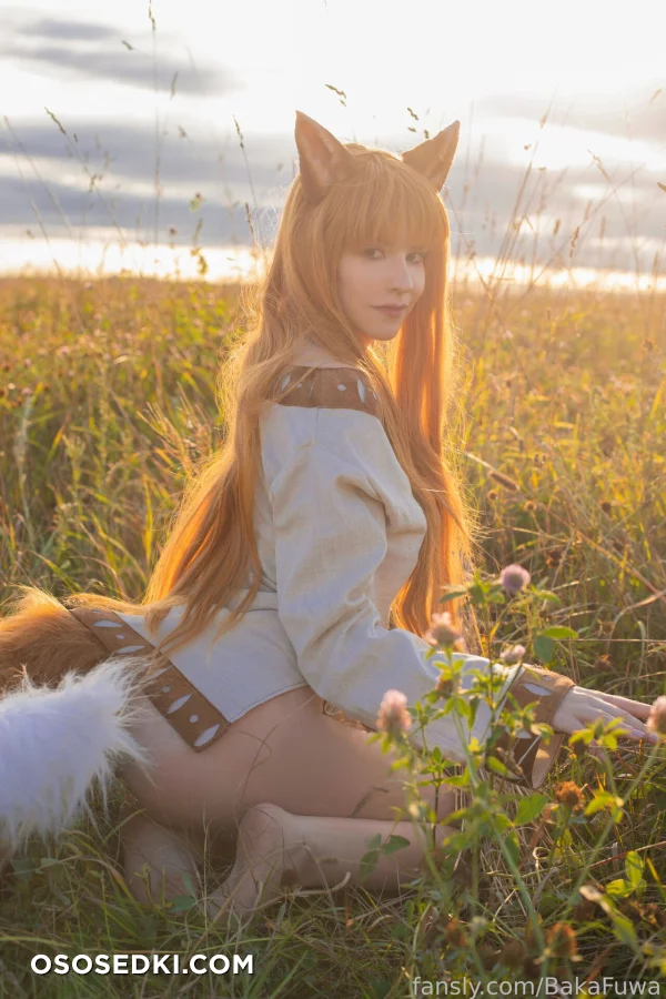 Baka Fuwa - Holo - Spice And Wolf | Ookami To Koushinryou - 10