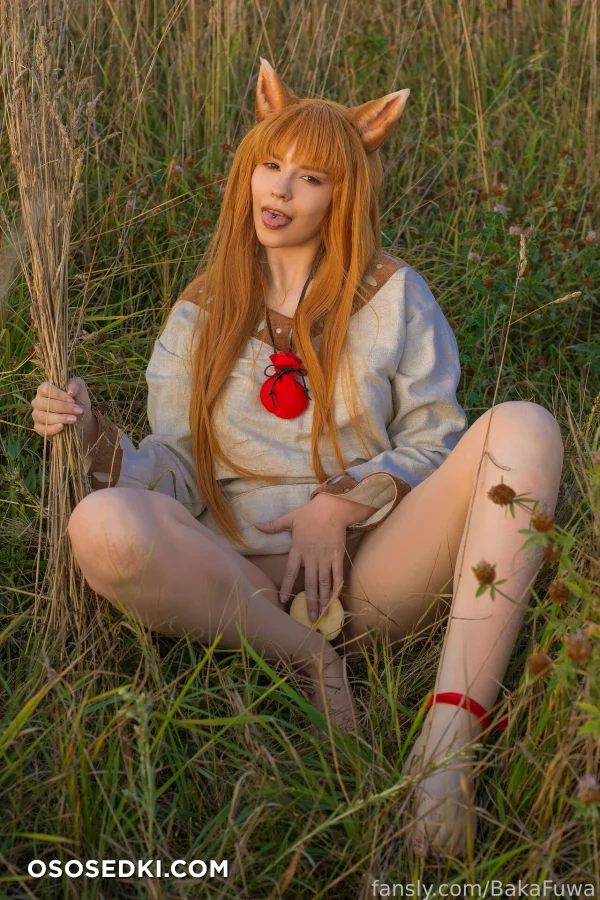 Baka Fuwa - Holo - Spice And Wolf | Ookami To Koushinryou - 11
