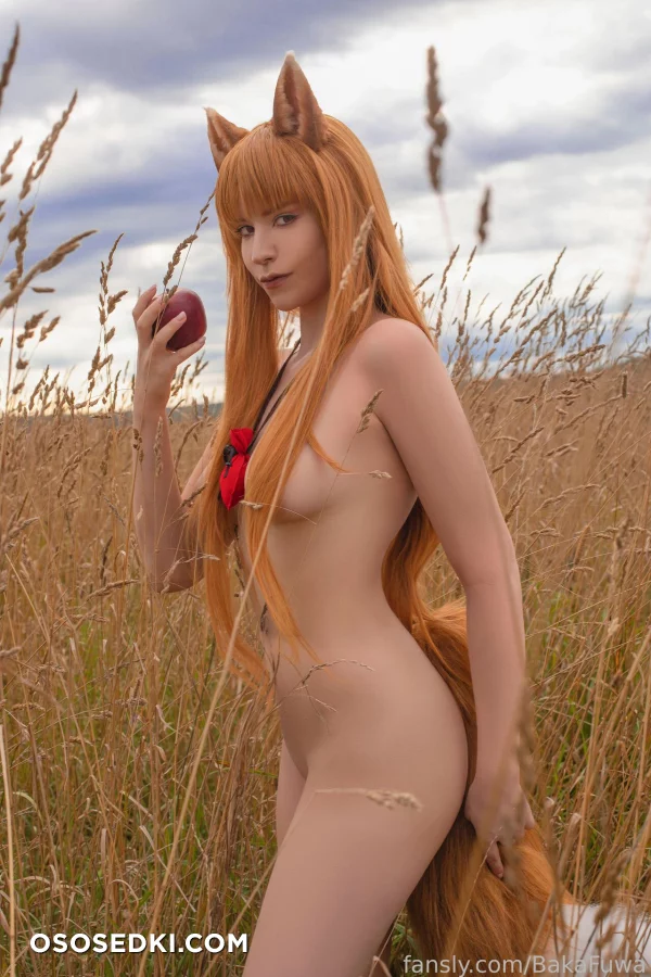 Baka Fuwa - Holo - Spice And Wolf | Ookami To Koushinryou - 19