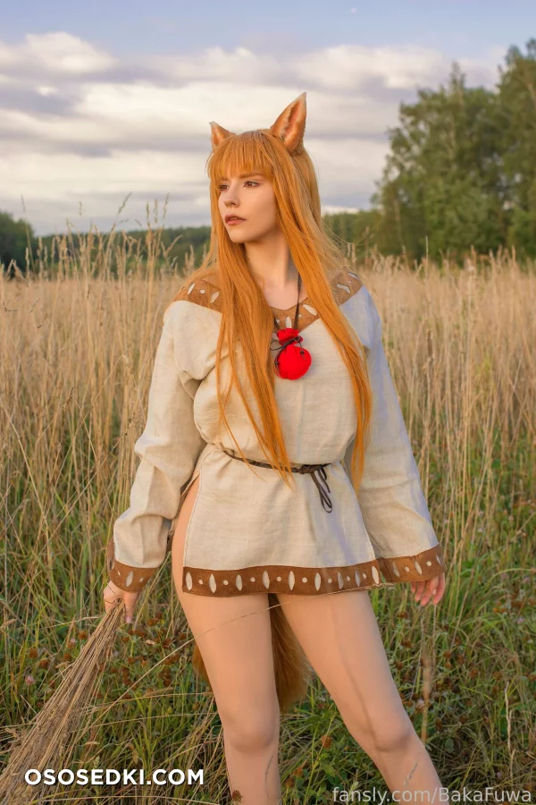Baka Fuwa - Holo - Spice And Wolf | Ookami To Koushinryou - 3