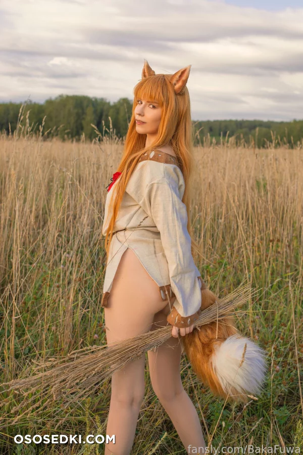 Baka Fuwa - Holo - Spice And Wolf | Ookami To Koushinryou - 7