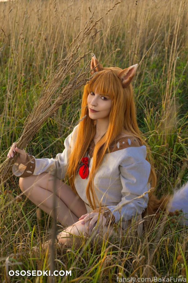 Baka Fuwa - Holo - Spice And Wolf | Ookami To Koushinryou - 9