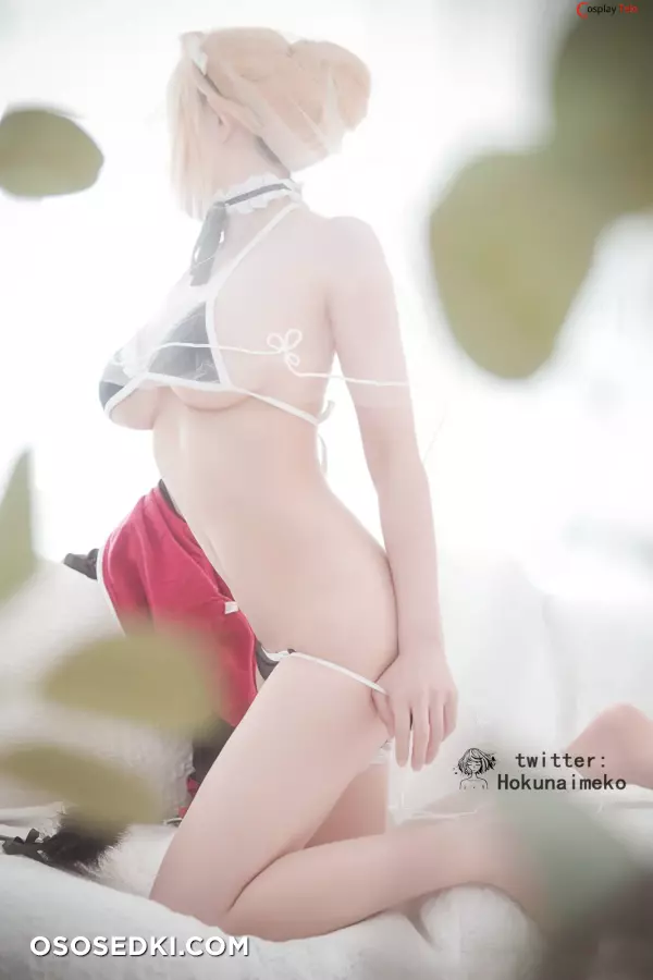 Hokunaimeko cosplay Saber - Fate/Grand Order - 25