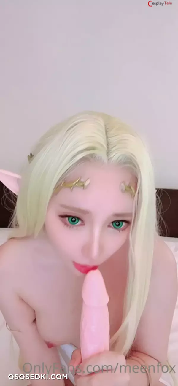 Meenfox cosplay Celestine Lucullus - Kuroinu - 29